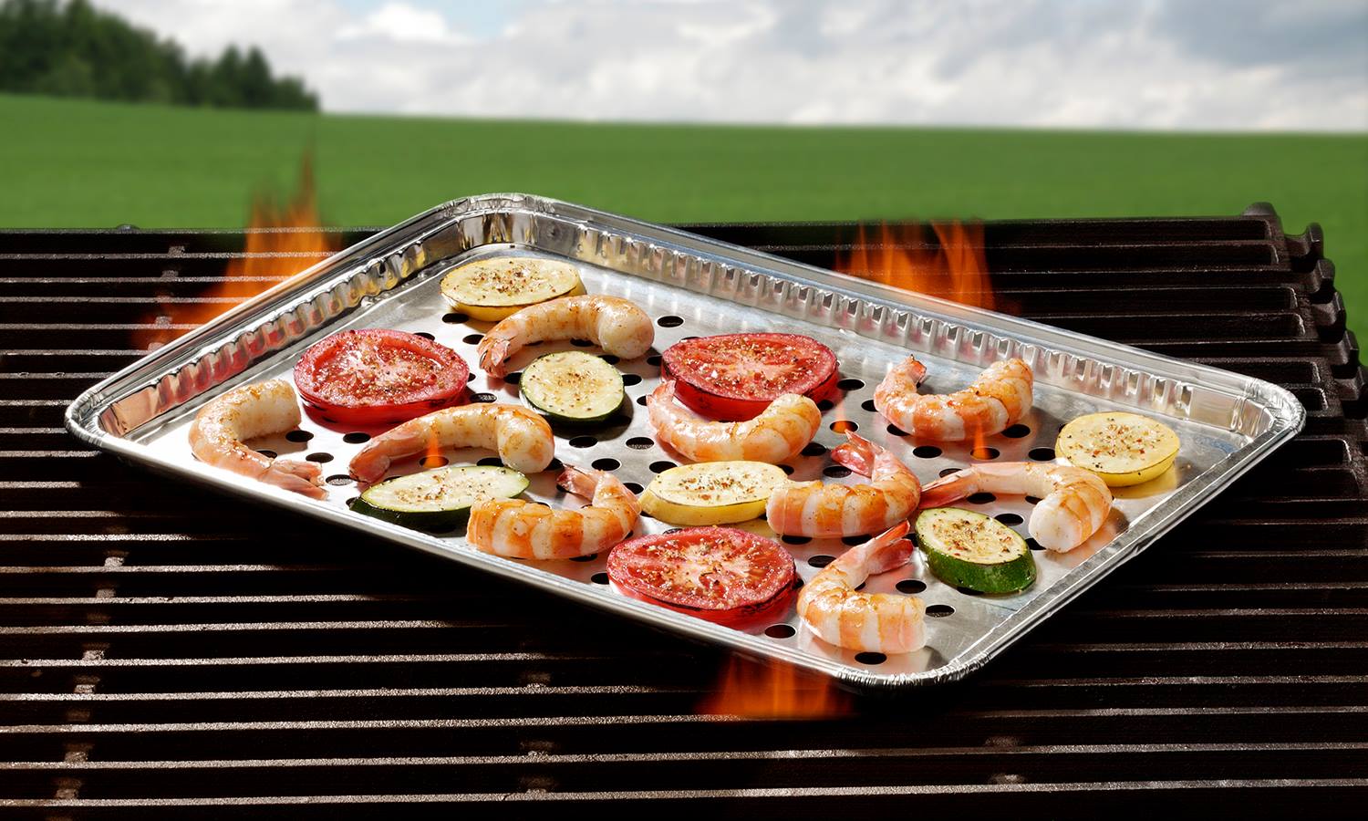 https://www.pactogo.com/cdn/shop/products/hfa-grill-topper-on-grill.jpg?v=1569308424