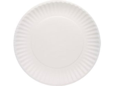 9"  White Paper Plates 1200/CS